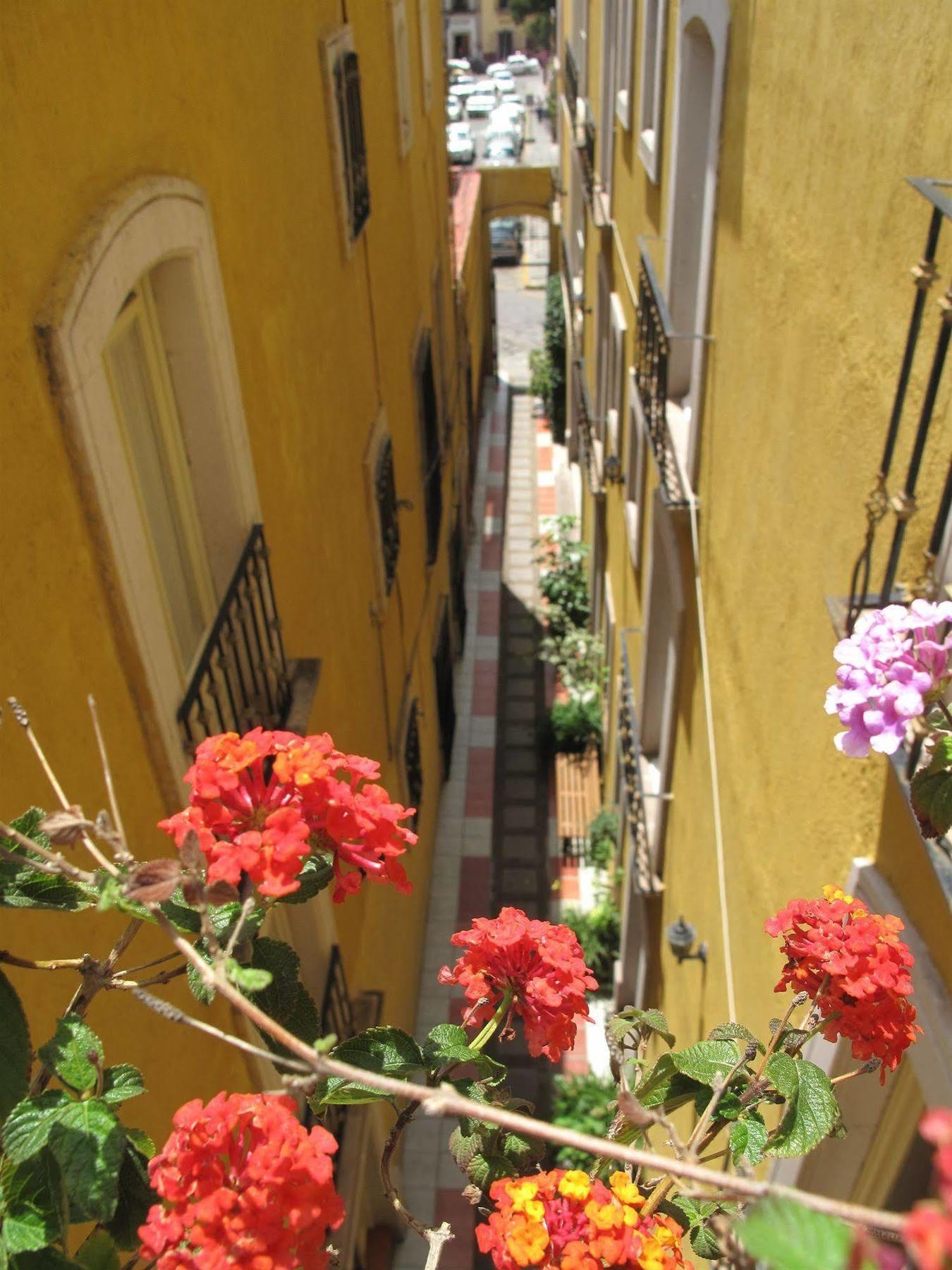 Hotel Casona Los Vitrales Сакатекас Экстерьер фото
